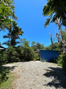 Roan Playa Chiquita- Estrella de mar