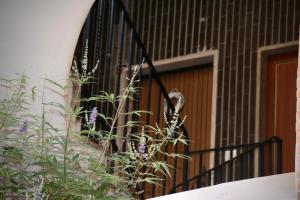 Appartamento vista mare