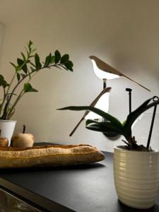 Hotels Hotel Des Grands Hommes - Bordeaux Centre : photos des chambres