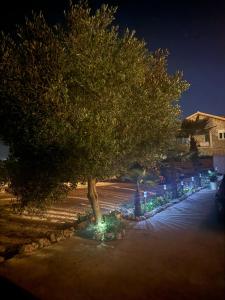 Apartments Bernarda 2 