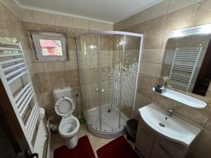 Casa Natalia Raisa Arieșeni