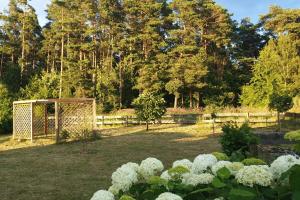 Ferienhaus am Wald App 2