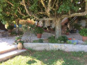 Maisons de vacances Gite la bastido : photos des chambres