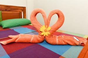 Elephant Trio Sigiriya