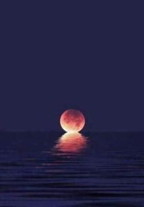 Beachfront Bliss 10 Meters to Golden Sands!