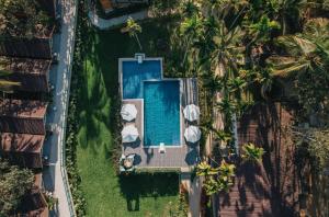 Stone Wood Premier Dandeli