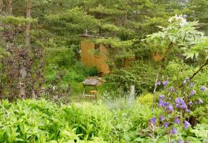 Chalets sous les arbres : photos des chambres