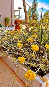 no.21house studio apartment