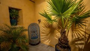Appartements Chambre loriental : photos des chambres