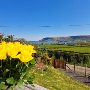 Glens glamping