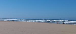 Appartements Appartement Biscarrosse joli T3 avec terrasse et jardin privatif classe 1 etoile : photos des chambres