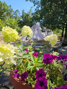 Glamping Imotski 