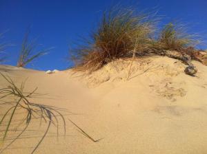 Appartements Appartement Biscarrosse joli T3 avec terrasse et jardin privatif classe 1 etoile : photos des chambres