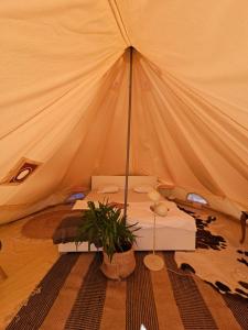Glamping Imotski 