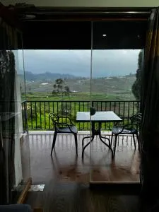 The Wooden Springs - Pykāra