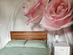 Casa Margherita - MonferratoHome - Vignale Monferrato