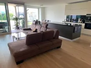 Luxury Apartment - central to everything - Opfikon