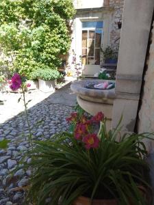 Maisons de vacances Les Gites du Mont Ventoux : photos des chambres