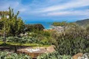 SAN LEO, Castellabate - Ginestra