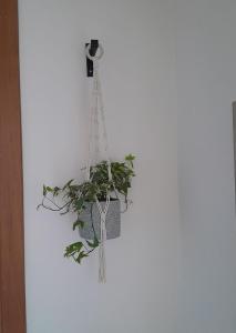 Casa Vacanza da Giggino