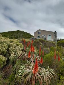 Peaceful Seaside Cottage, Betty's Bay Accommodation