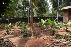 Gods Own country Kovalam By Bestinn Leisure