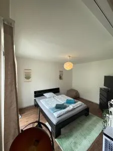 Sonniges Bodensee-Balkonidyll - 罗曼斯霍恩