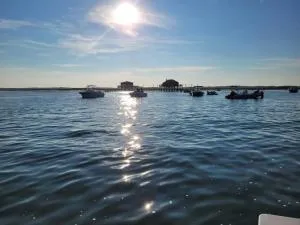 Chai Nous - Chambres d'hôtes à 500m du Bassin - 阿雷斯