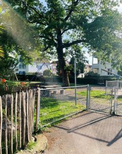 Sonniges Bodensee-Balkonidyll