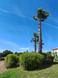 Appart'hotels Le Manon Residence Hotel : photos des chambres