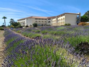 Appart'hotels Le Manon Residence Hotel : photos des chambres