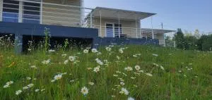 Cer de munte - Brădetu