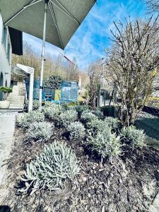 Double or Twin Room bnb1 room in Bed and Breakfast Olten