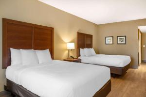 Comfort Inn & Suites At CrossPlex Village