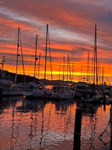 Elegant and scenic floating boat house