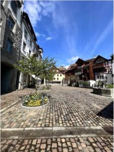 Gemütliches Studio nahe Bodensee