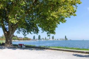 Gemütliches Studio nahe Bodensee