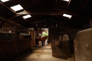 Maisons de vacances Les ecuries du Nevez : photos des chambres