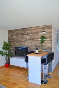 Penthaus apartman NOVAK - Vrnjci