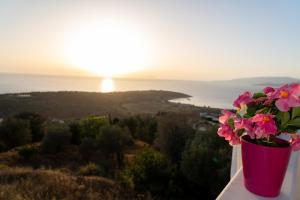 Mastiha luxury maisonette I