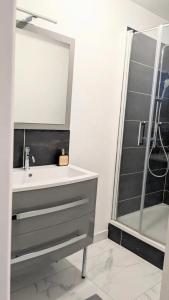 Appartements Joli appart cour proche bord de loire : photos des chambres