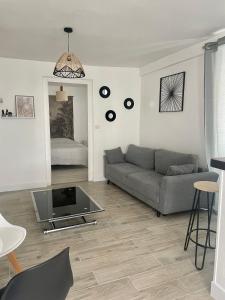 Joli appart cour proche bord de loire
