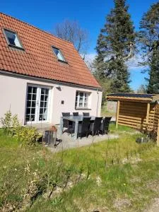 Super hyggelig bolig - Græsted