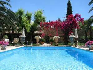 Finca Santa Lucia - 孔塞利