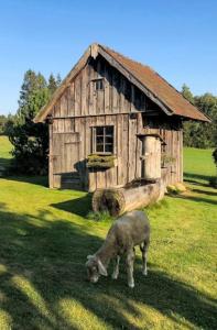 Winklergut Farm Residence Austria - SH