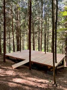 Winklergut Farm Residence Austria - SH