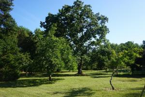 le Bosc de castang