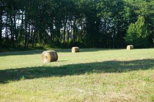 B&B / Chambres d'hotes le Bosc de castang : photos des chambres