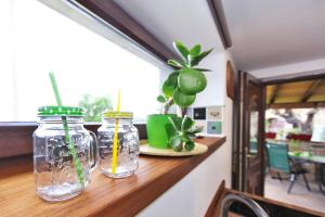 Green cottage Baredi, Izola, Slovenia