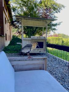 Le Bouquet Apart Hotel